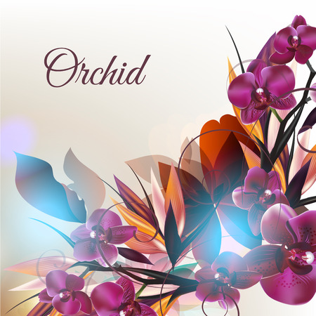 Beautiful fashion background with tropical plants and orchid flowersのイラスト素材