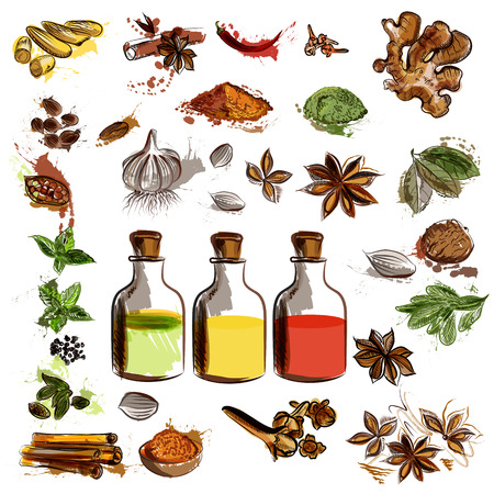 Big set of vector hand drawn spices for designのイラスト素材