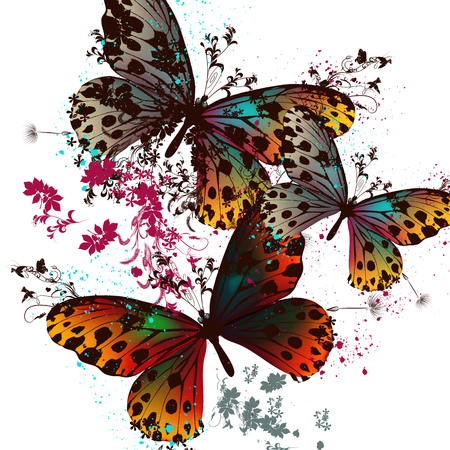 Butterfly vector design with colorful wingsのイラスト素材