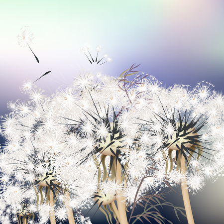 Elegant background with dandelions. Summerのイラスト素材