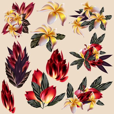 Tropical collection of leaves of mango and other flowers with leafのイラスト素材