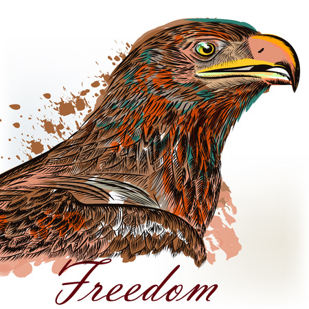 Eagle hand drawn bird illustration in engraved and watercolor styleのイラスト素材