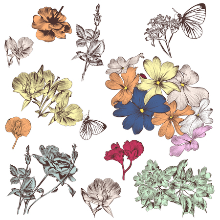 Collection of vector hand drawn flowers for design illustration.のイラスト素材