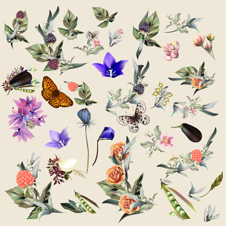 Big collection of vector floral elements and flowers in vintage styleのイラスト素材