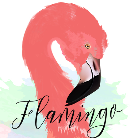Beautiful vector illustration with drawn pink flamingo.のイラスト素材