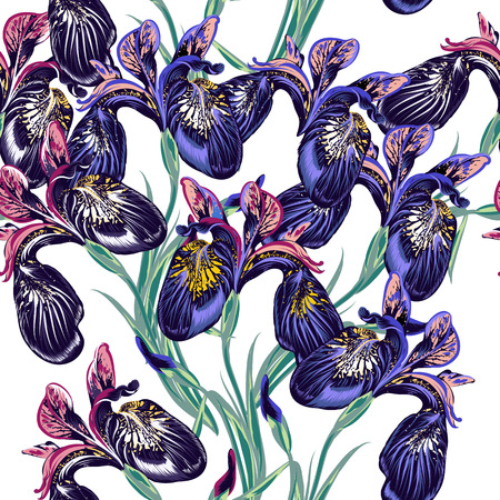 Floral  wallpaper pattern with purple iris flowersのイラスト素材