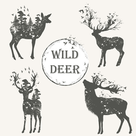 Elegant vector collection of forest animal high detailed silhouettesのイラスト素材