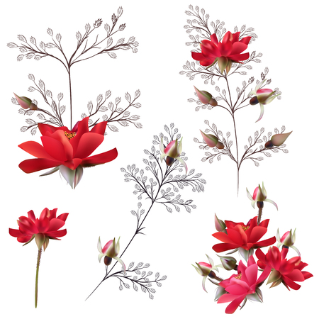 Collection of vector rose flowers in red and pink colors for designのイラスト素材
