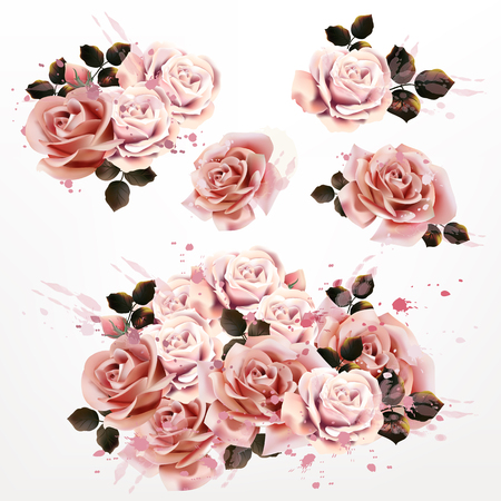 Collection of vector realistic rose flowers for designのイラスト素材