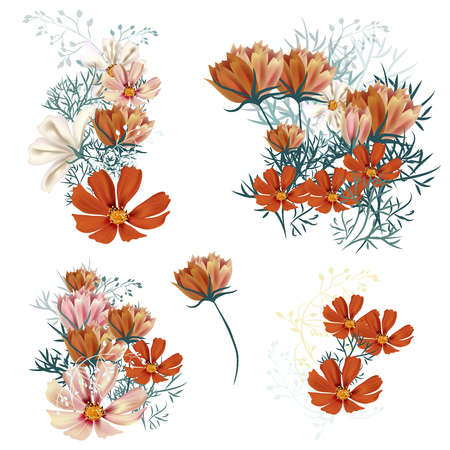 Set of vector realistic spring cosmos flowers for designのイラスト素材