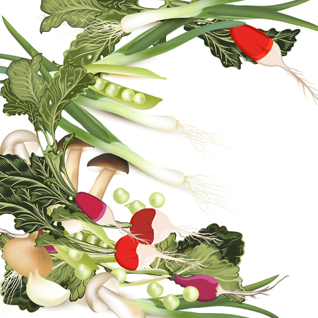 Vegan organic vector illustration with green vegetables, onion, mushrooms, radish, peasのイラスト素材