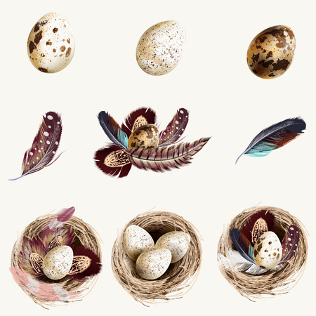 Collection of vector easter eggs with nests and feathers for designのイラスト素材