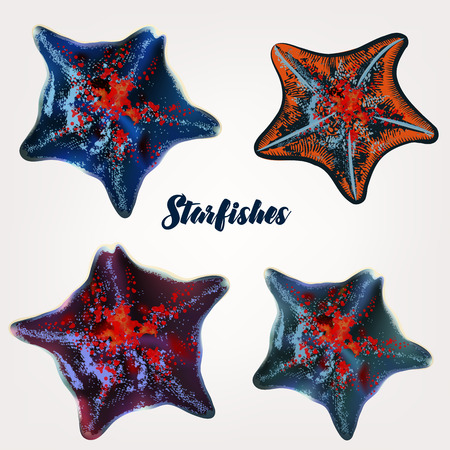 Collection of realistic starfishes for designのイラスト素材