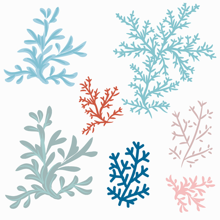 Collection of vector corals for designのイラスト素材