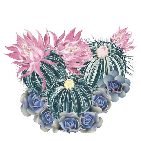 Illustration, T-shirt print with pink blooming cactus and blue succulentsのイラスト素材