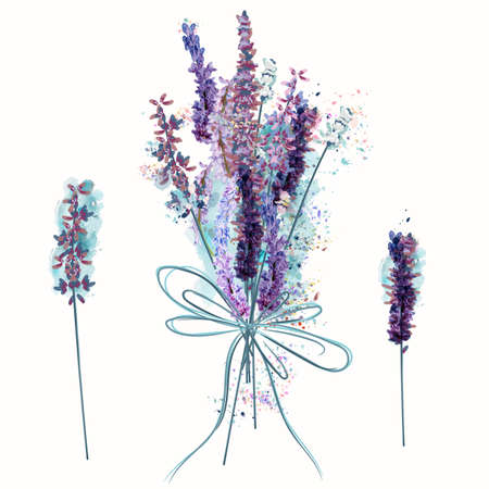 Beautiful vector set of bunch of lavender flowers in watercolor styleのイラスト素材