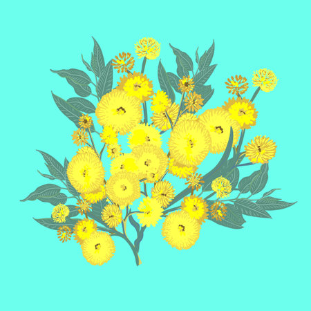Mimosa vector yellow flowers bouquetのイラスト素材