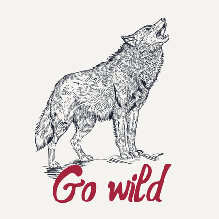 Fashion apparel vector print hand drawn wolf, wild camping tourismのイラスト素材