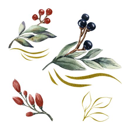 Watercolor hand drawn bouquets. Flowers set of illustration. Cute hand drawn style. Linear compose elements. Outline floral elements. Leaves and berries. Elegant floral set. Greeting card.の写真素材