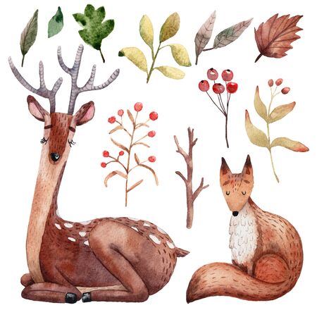 Cute watercolor forest animals and plants. Sitting deer and fox.の写真素材