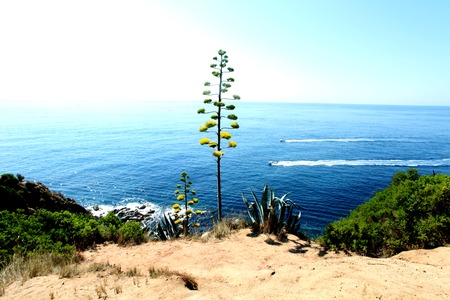 View of the sea in Spainの写真素材