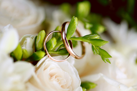 Wedding rings close-up on branchの写真素材