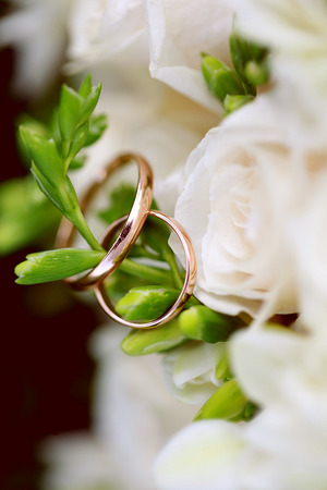 Wedding rings close-up on branchの写真素材