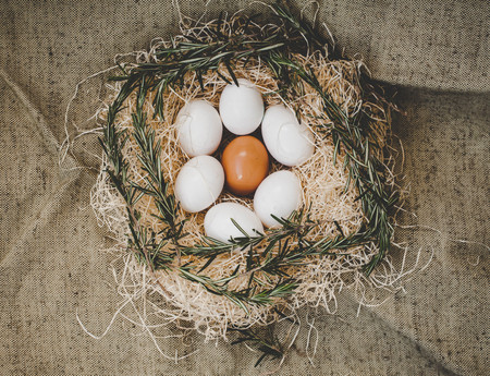 Chicken eggs in nest