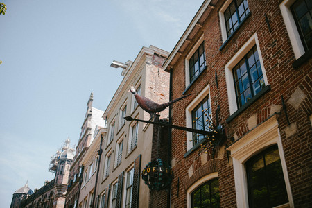 Sculpture of pheasant on an old buildingの写真素材