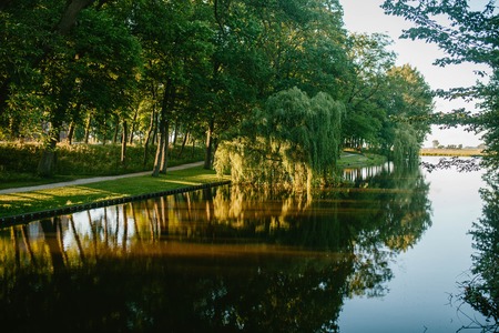 Lake and Park on sunset Sun. Natureの写真素材