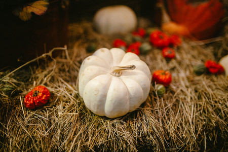 Decorative pumpkins on straw. Natureの写真素材
