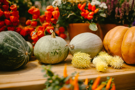 Assorted whole pumpkins. Nature foodの写真素材