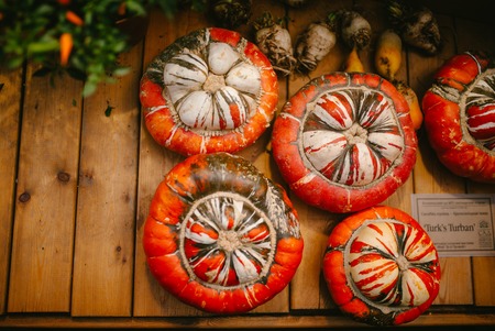 Orange striped pumpkinの写真素材