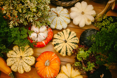 Different pumpkin top view. Foodの写真素材