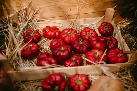 Red and ripe tomatoes in a basketの写真素材