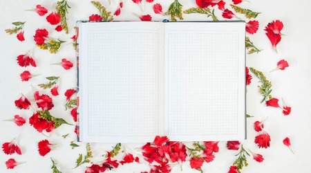 Open diary in the petals of flowers on a white backgroundの写真素材