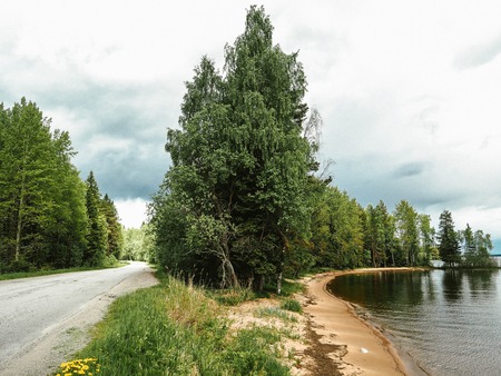 A beautiful landscape and a forest Beach Roadの写真素材