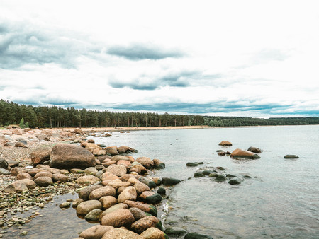 view of the sandy coast and forest. Natureの写真素材