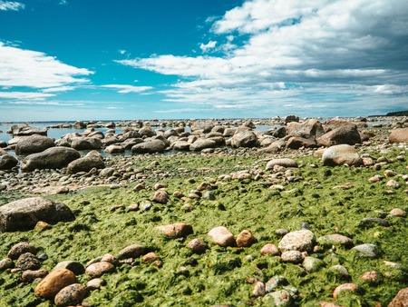 View of the beach with stones at the time when the tide is out.