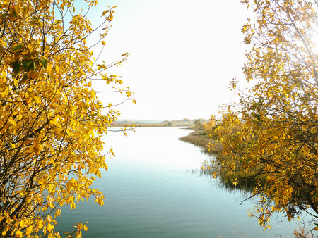Views of the Lake and the trees in the fall, nature