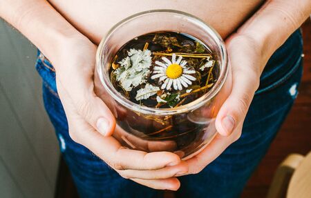 women's hands hold a cup of herbal tea. chamomile and herbsの写真素材