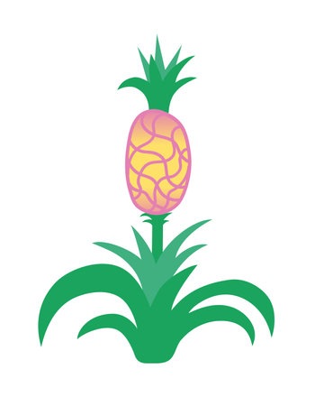 Pineapple plant with fruit. Isolated vector illustration.のイラスト素材