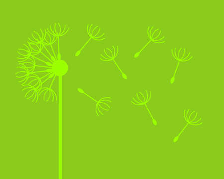 Dandelion with flying fluffs silhouette. Vector isolated.のイラスト素材