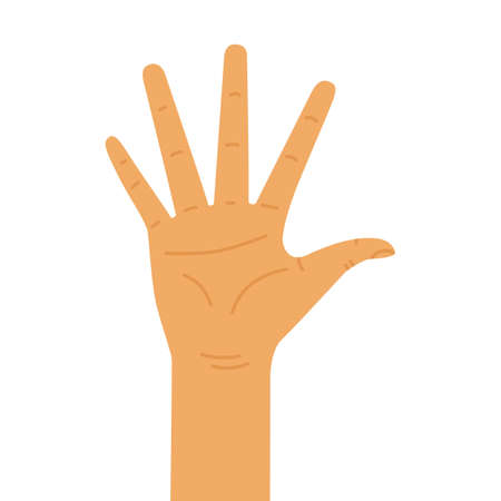 Human hand. Open palm on white background. Flat vector isolated.のイラスト素材