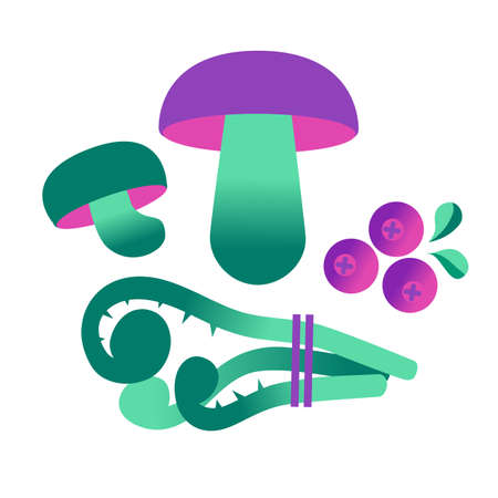 Composition of mushrooms, berries and bunch of herbs. Food from nordic wild nature. Vector illustration isolated on white.のイラスト素材