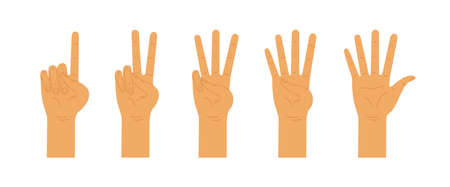 Hands counting from one to five. Counting hands, hand gestures. Vector flat illustration isolated on white background.のイラスト素材