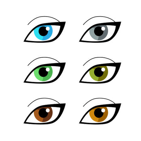 Set of woman eyes of different colors. Diversity of natural colors of human eyes. Vector illustration isolated on white.のイラスト素材