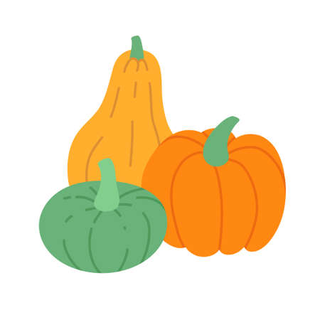 Three pumpkins. Group of different color pumpkins. Flat vector illustration isolated on white.のイラスト素材