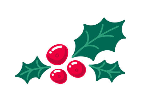 Holly berry with leaves. Symbol of Christmas. Vector hand drawn illustration isolated on white.のイラスト素材