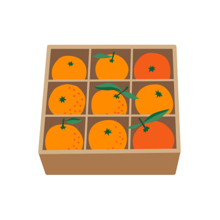 Nine fresh oranges with leaves in a cell paper box. Vector flat illustration isolated on white.のイラスト素材